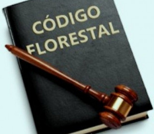 Código Florestal pode ser votado ainda neste ano, afirma ministra