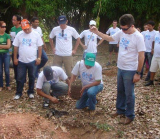 Ação Árvore Protegida planta 1.200 árvores.