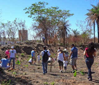 680 mudas de árvores são plantadas na Avenida Cajuína