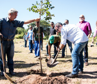 Bosque é implantado na Floresta Fóssil Teresina