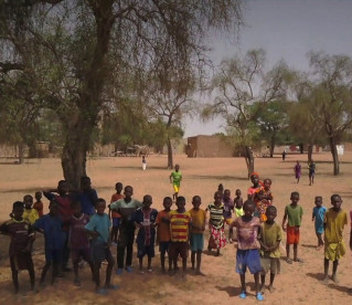 Por que 11 países africanos estão construindo uma muralha de árvores