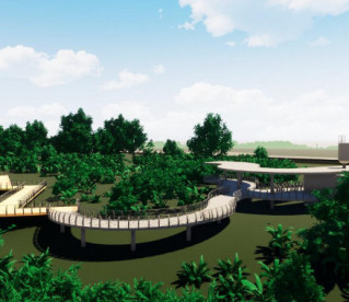 Capital vai ganhar Museu da Floresta Fóssil