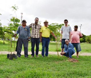 Parque Lagoas do Norte é arborizado com mudas de Angico e Flamboyant