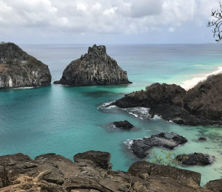 Novas espécies de peixes são descobertas em Fernando de Noronha