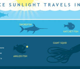 Qual a diferença entre mar e oceano?